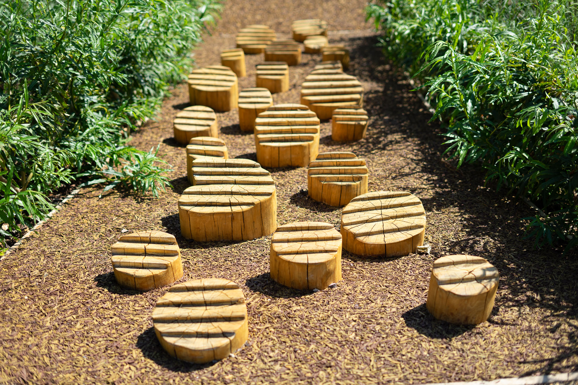 PHOTO PLAY TT.PO .01.2 stepping stumps playground equipment 04 1