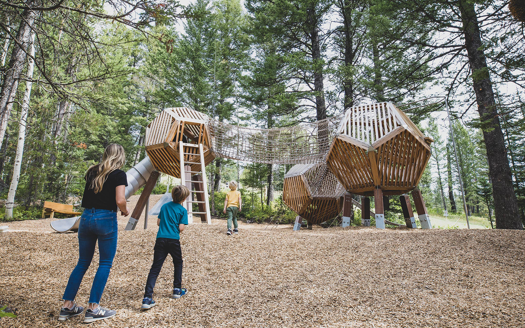 contact duncan and grove united states 1