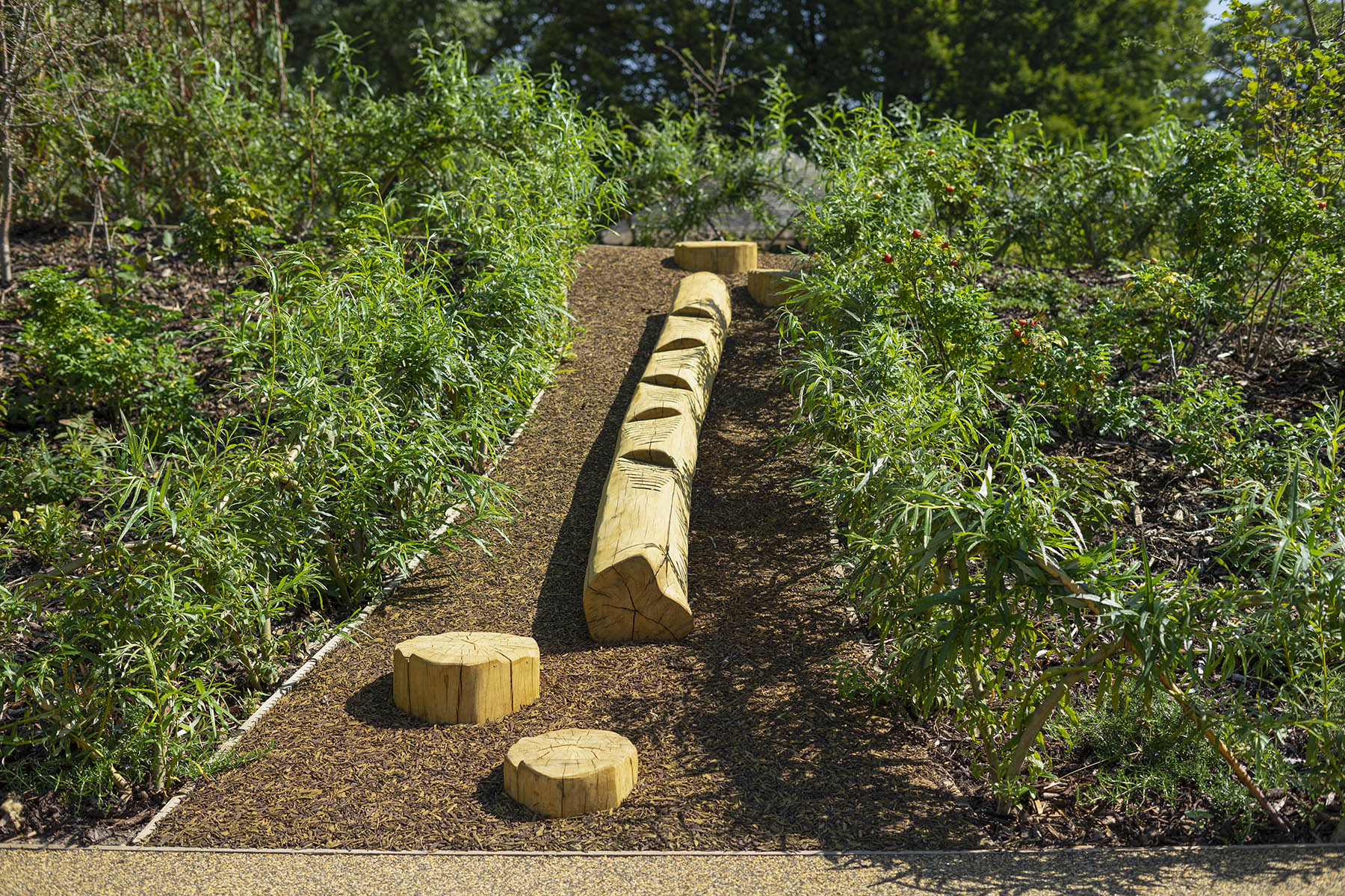 natural playgrounds stepped balance log