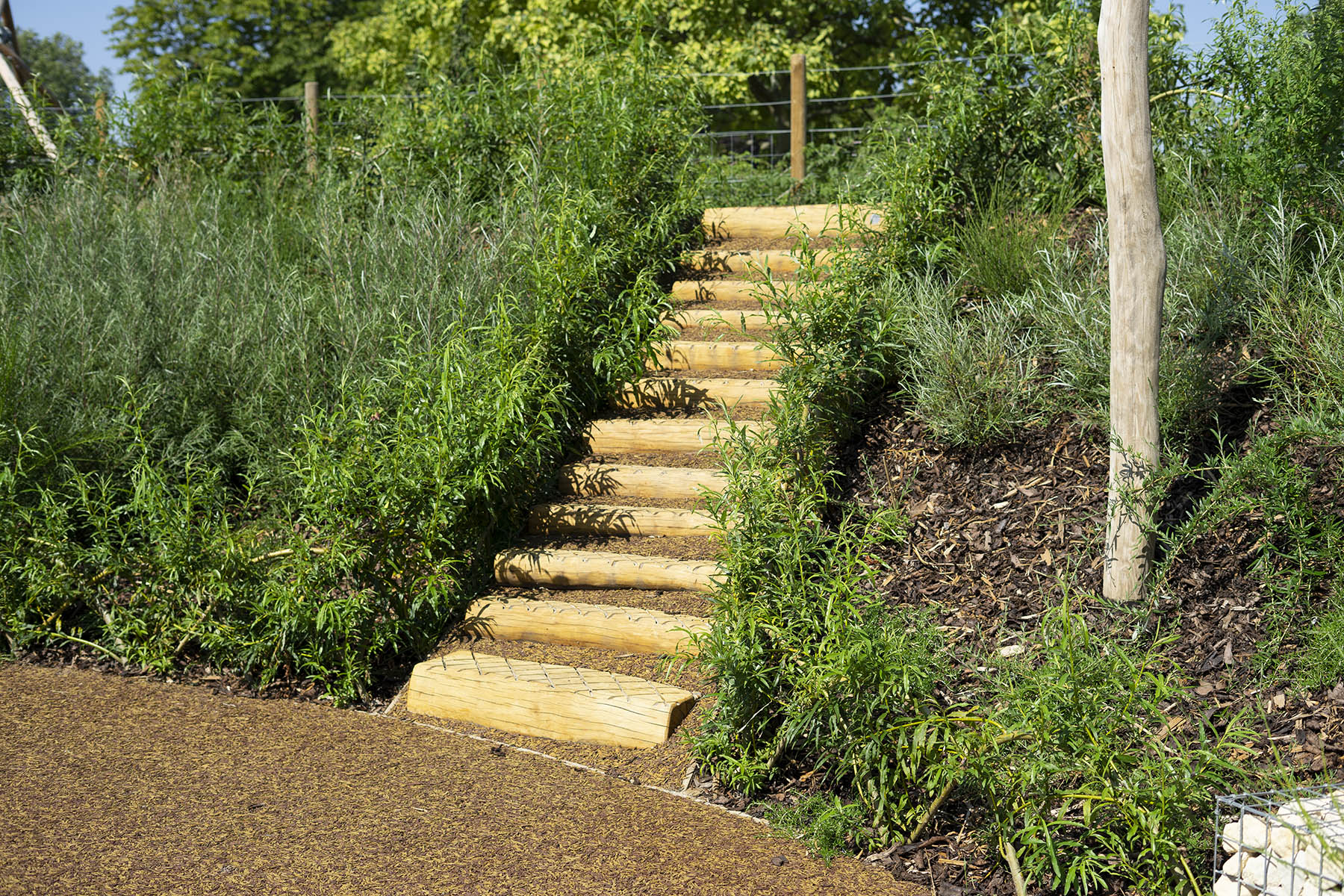 natural playgrounds log steps