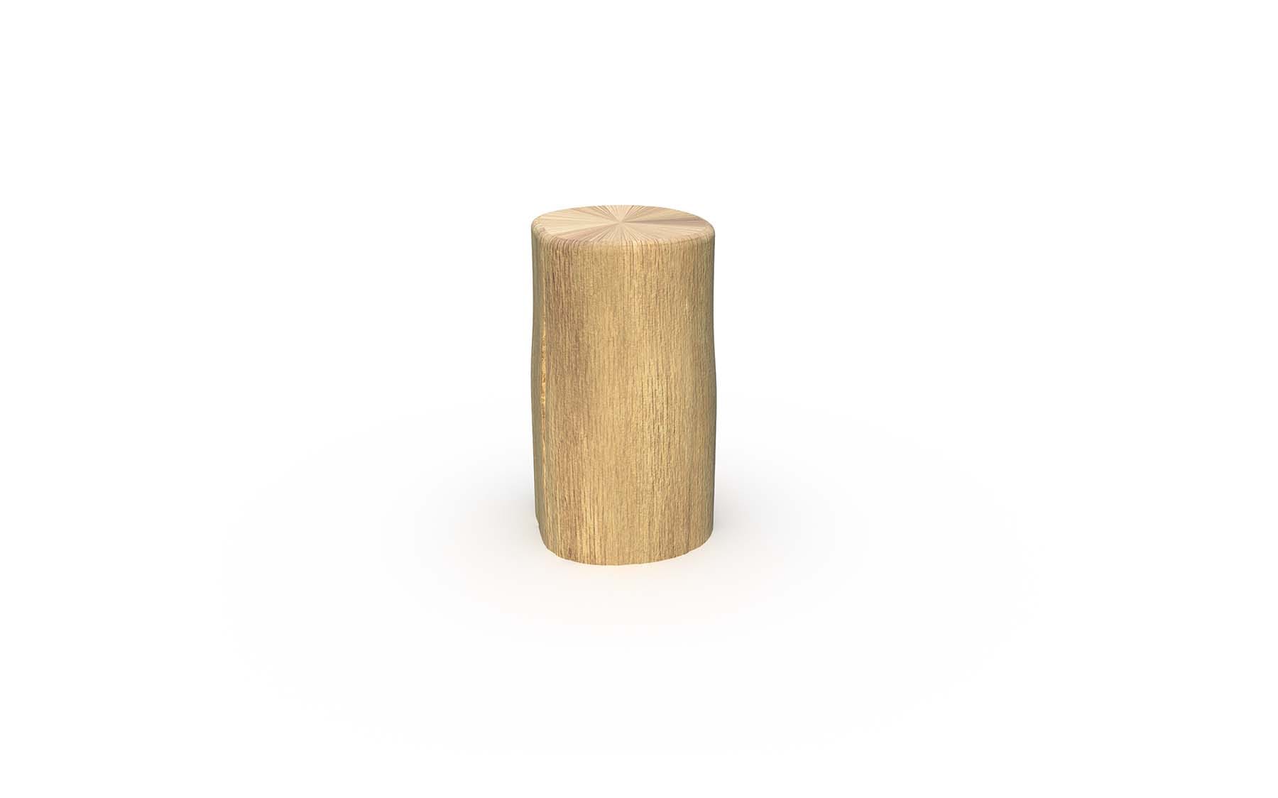 RENDER_TT.PO.01.2_stepping stump 220rd robinia_playground equipment_v1.jpg